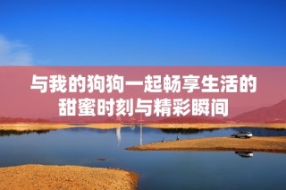 与我的狗狗一起畅享生活的甜蜜时刻与精彩瞬间
