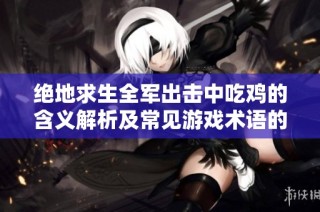 绝地求生全军出击中吃鸡的含义解析及常见游戏术语的详细介绍