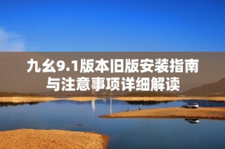 九幺9.1版本旧版安装指南与注意事项详细解读
