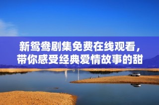 新鸳鸯剧集免费在线观看，带你感受经典爱情故事的甜蜜与波折