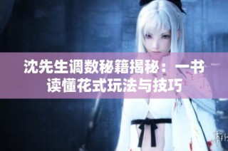 沈先生调数秘籍揭秘：一书读懂花式玩法与技巧
