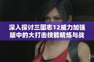 深入探讨三国志12威力加强版中的大打击技能精炼与战斗应用技巧