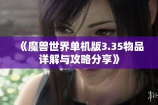 《魔兽世界单机版3.35物品详解与攻略分享》