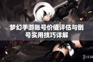 梦幻手游账号价值评估与倒号实用技巧详解