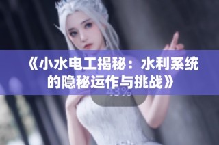 《小水电工揭秘：水利系统的隐秘运作与挑战》