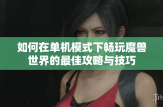如何在单机模式下畅玩魔兽世界的最佳攻略与技巧
