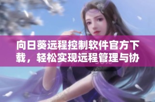 向日葵远程控制软件官方下载，轻松实现远程管理与协助