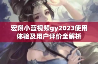 宏翔小蓝视频gy2023使用体验及用户评价全解析