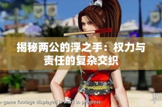 揭秘两公的浮之手：权力与责任的复杂交织