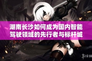 湖南长沙如何成为国内智能驾驶领域的先行者与标杆城市