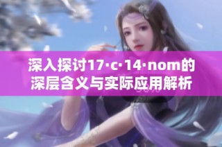 深入探讨17·c·14·nom的深层含义与实际应用解析
