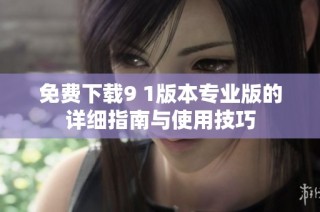 免费下载9 1版本专业版的详细指南与使用技巧