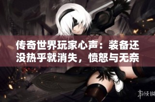 传奇世界玩家心声：装备还没热乎就消失，愤怒与无奈双重袭来！