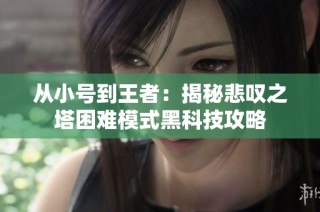 从小号到王者：揭秘悲叹之塔困难模式黑科技攻略