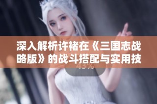 深入解析许褚在《三国志战略版》的战斗搭配与实用技巧