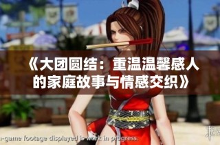 《大团圆结：重温温馨感人的家庭故事与情感交织》