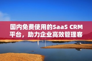 国内免费使用的SaaS CRM平台，助力企业高效管理客户关系