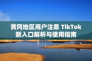 黄冈地区用户注意 TikTok新入口解析与使用指南