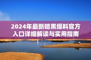 2024年最新暗黑爆料官方入口详细解读与实用指南