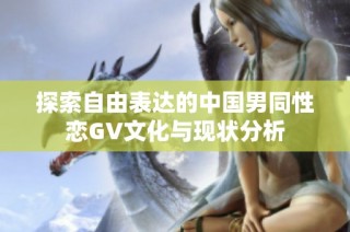 探索自由表达的中国男同性恋GV文化与现状分析
