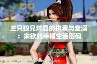 三只狼兄对爱的执着与宠溺：宋钦的幸福生活密码