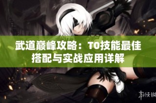 武道巅峰攻略：T0技能最佳搭配与实战应用详解