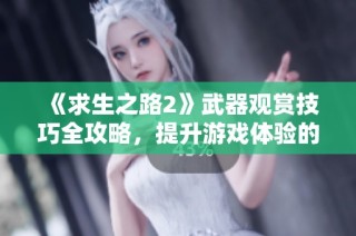 《求生之路2》武器观赏技巧全攻略，提升游戏体验的实用方法分享