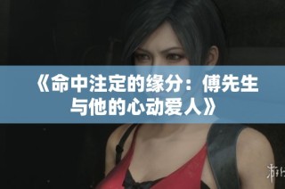《命中注定的缘分：傅先生与他的心动爱人》