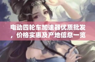 电动四轮车加速器优质批发，价格实惠及产地信息一览
