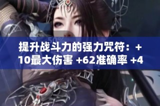 提升战斗力的强力咒符：+10最大伤害 +62准确率 +40生命解析