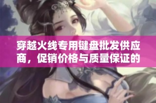 穿越火线专用键盘批发供应商，促销价格与质量保证的完美选择