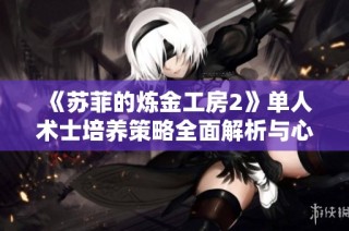 《苏菲的炼金工房2》单人术士培养策略全面解析与心得分享