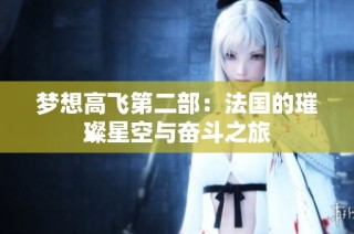 梦想高飞第二部：法国的璀璨星空与奋斗之旅