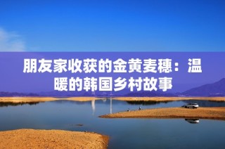 朋友家收获的金黄麦穗：温暖的韩国乡村故事