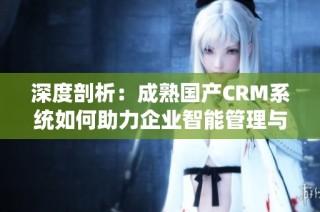 深度剖析：成熟国产CRM系统如何助力企业智能管理与客户关系提升