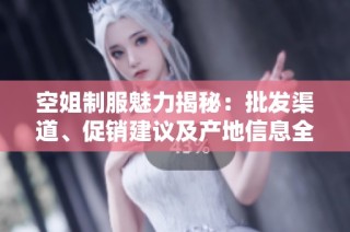 空姐制服魅力揭秘：批发渠道、促销建议及产地信息全面解析