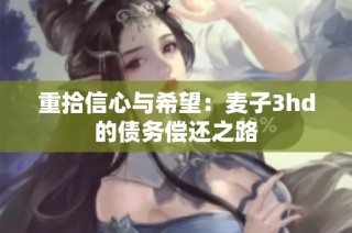 重拾信心与希望：麦子3hd的债务偿还之路
