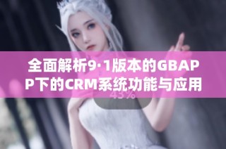 全面解析9·1版本的GBAPP下的CRM系统功能与应用效果