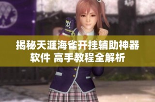 揭秘天涯海雀开挂辅助神器软件 高手教程全解析