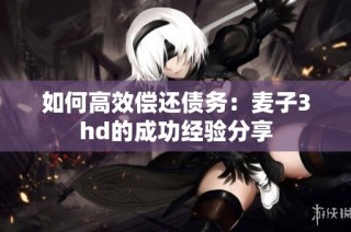 如何高效偿还债务：麦子3hd的成功经验分享