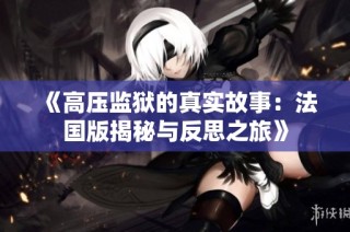 《高压监狱的真实故事：法国版揭秘与反思之旅》