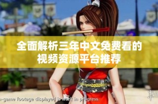 全面解析三年中文免费看的视频资源平台推荐