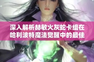 深入解析赫敏火灰蛇卡组在哈利波特魔法觉醒中的最佳组合与玩法策略