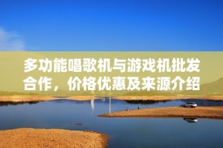 多功能唱歌机与游戏机批发合作，价格优惠及来源介绍