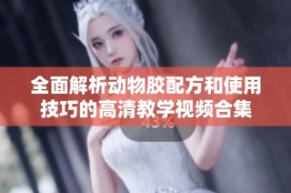 全面解析动物胶配方和使用技巧的高清教学视频合集