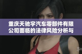 重庆天驰宇汽车零部件有限公司面临的法律风险分析与应对措施探讨