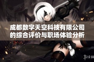 成都数字天空科技有限公司的综合评价与职场体验分析