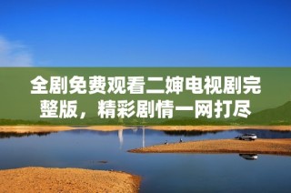 全剧免费观看二婶电视剧完整版，精彩剧情一网打尽