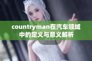 countryman在汽车领域中的定义与意义解析