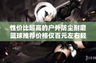 性价比超高的户外防尘耐磨篮球推荐价格仅百元左右轻松畅享篮球乐趣